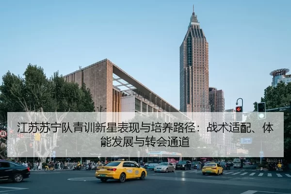 江苏苏宁队青训新星表现与培养路径：战术适配、体能发展与转会通道