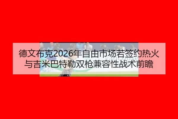 德文布克2026年自由市场若签约热火 与吉米巴特勒双枪兼容性战术前瞻